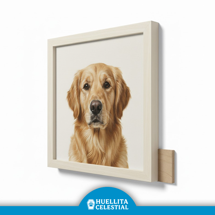 Cuadro Imagen Mascota